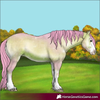 Horse Color:Watercolor Bay Onyx 