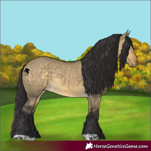 Horse Color:Buckskin Dun 
