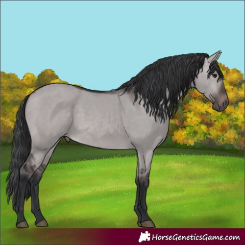 Horse Color:Platinum Brown Dun 