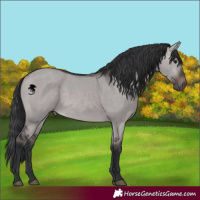Horse Color:Platinum Brown Dun 