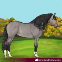 Horse Color:Platinum Brown Dun 