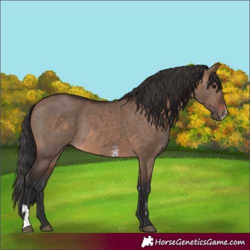 Horse Color:Brown Dun Sabino and Brown Dun