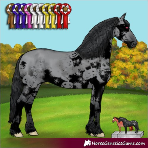 Horse Color:Void White Spotted Grullo Chinchilla Splash 