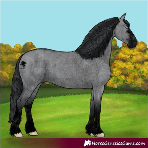 Horse Color:Void White Spotted Grullo Chinchilla 