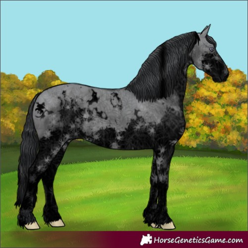 Horse Color:Void White Spotted Grullo Chinchilla Splash 