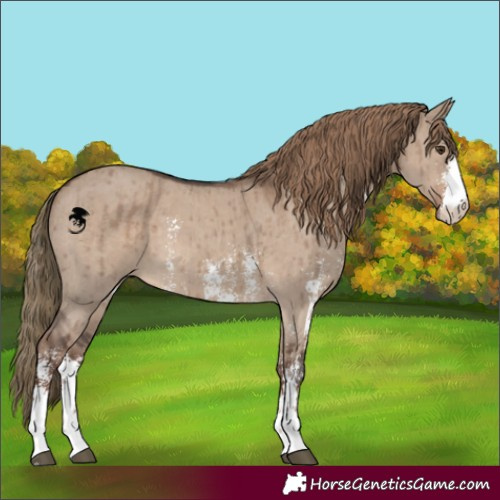 Horse Color:Liver Red Dun Sabino Brindle 