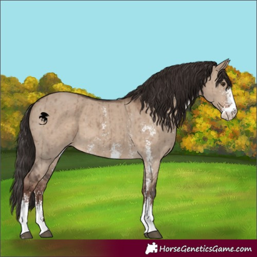 Horse Color:Liver Red Dun Sabino Brindle 