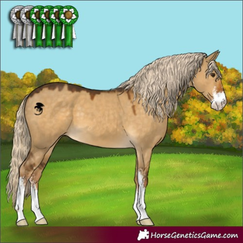 Horse Color:Chocolate Palomino Dun Sabino 