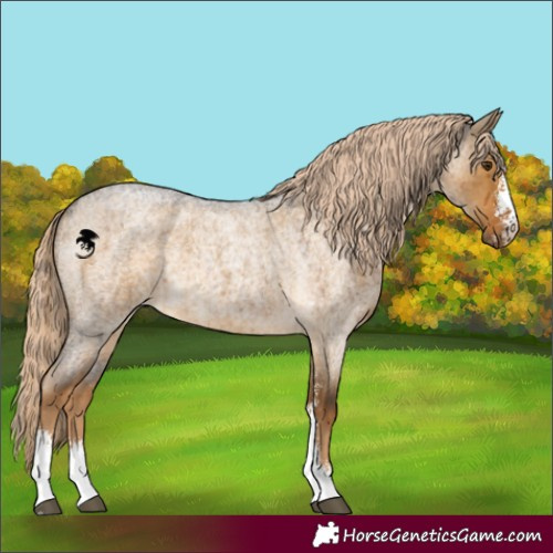 Horse Color:Chocolate Palomino Roan Dun Sabino Brindle 