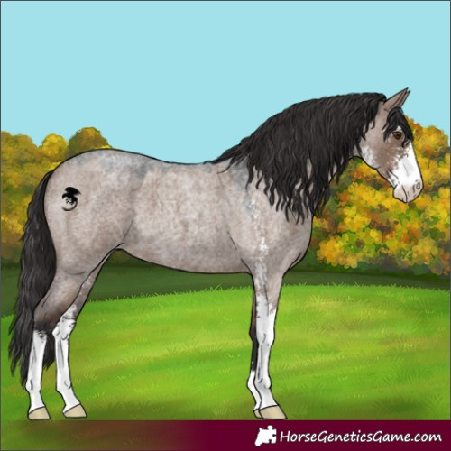 Horse Color:Liver Red Dun Roan Sabino 