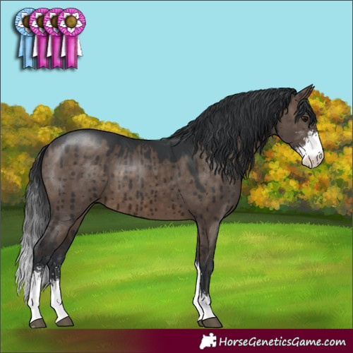 Horse Color:Brown Dun Sabino Brindle
