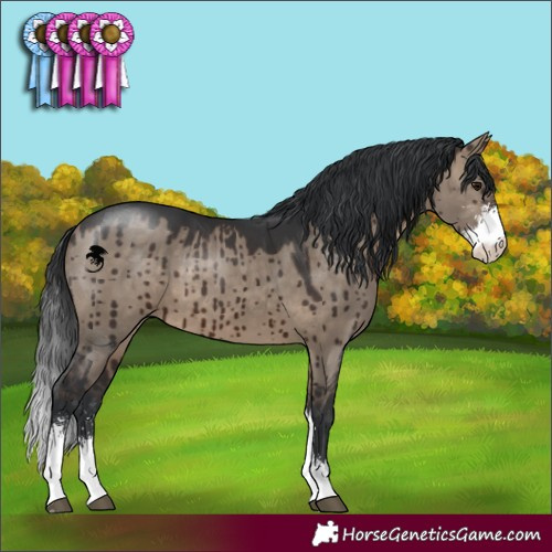 Horse Color:Brown Dun Sabino Brindle 