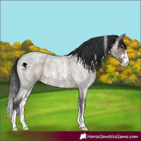 Horse Color:Brown Roan Dun Sabino Brindle 