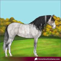 Horse Color:Brown Roan Dun Sabino Brindle 