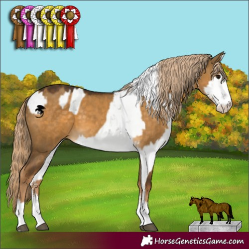 Horse Color:Brown Dun Sabino and Chocolate Palomino Dun Sabino