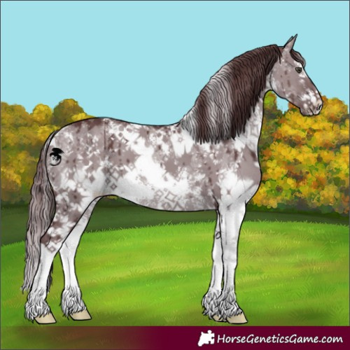 Horse Color:White Spotted Chocolate Grullo Chinchilla Sabino Brindle 