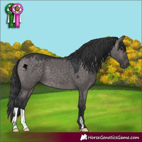 Horse Color:Platinum Brown Dun 