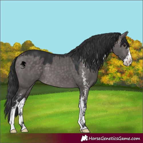 Horse Color:Platinum Brown Dun Sabino 
