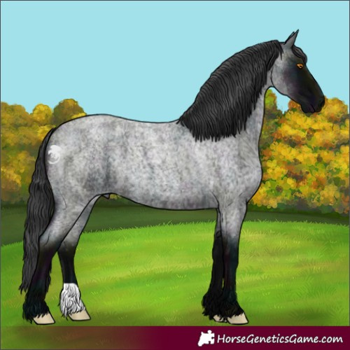 Horse Color:Midnight Blue Roan 