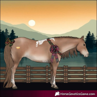 Horse Color:Black Pearl Tobiano Rabicano 