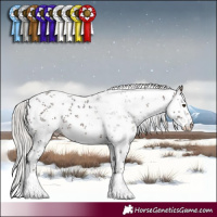 Horse Color:White Spotted Silver Brown Sabino 