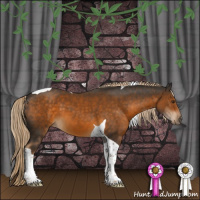 Horse Color:Chocolate Palomino Sabino Tobiano