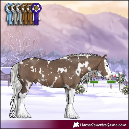 Horse Color:White Spotted Silver Brown Dun Splash 