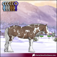 Horse Color:White Spotted Silver Brown Dun Splash 