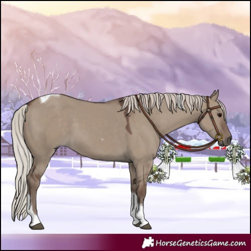 Horse Color:Silver Grullo Tobiano 