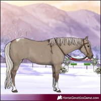 Horse Color:Silver Grullo Tobiano 