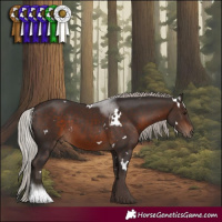 Horse Color:White Spotted Silver Brown Tobiano
