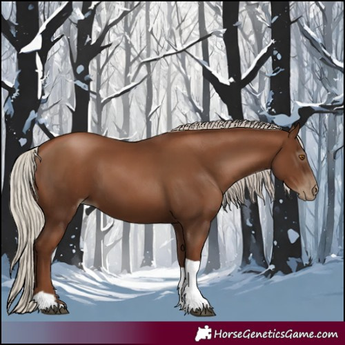 Horse Color:Gray Silver Black Pearl Tobiano