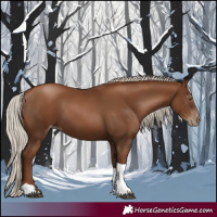 Horse Color:Gray Silver Black Pearl Tobiano 