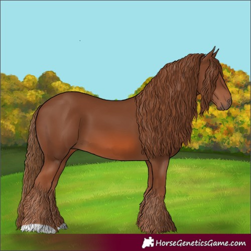 Horse Color:Chestnut 
