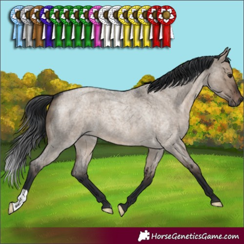 Horse Color:Brown Roan Dun 