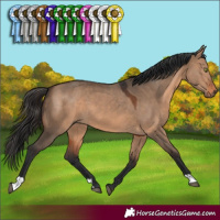 Horse Color:Brown Dun