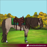 Horse Color:Liver Red Dun 