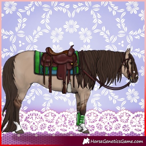Horse Color:Liver Red Dun 