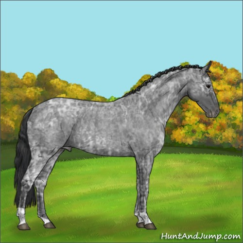 Horse Color:Blue Ice Roan  and Blue Ice Roan 