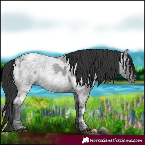 Horse Color:Blue Ice Roan  and Blue Ice Roan 
