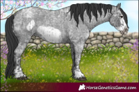 Horse Color:Blue Ice Roan and Blue Ice Roan Frame