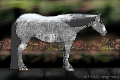 Horse Color:Blue Ice Roan and Blue Ice Roan Frame