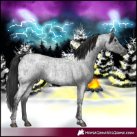 Horse Color:Blue Ice Roan and Smoky Blue Ice Roan