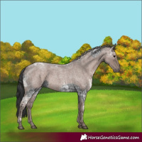 Horse Color:Blue Ice Roan and Silver Blue Ice Roan