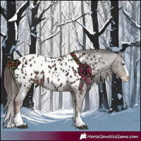 Horse Color:Liver Chestnut Sabino Splash Near Leopard  and Liver Chestnut Sabino Splash Near Leopard 