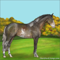 Horse Color:Silver Smoky Black Sabino 