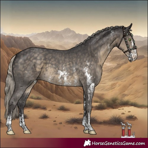 Horse Color:Silver Smoky Black Sabino 