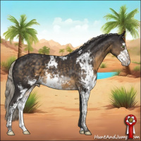 Horse Color:Silver Smoky Black Sabino 