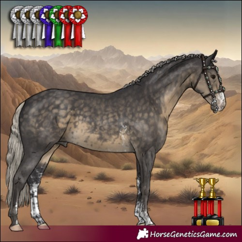 Horse Color:Silver Smoky Black Sabino 