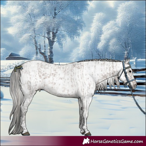 Horse Color:Silver Blue Ice Roan Tobiano  and Gray Grullo Ice Roan 